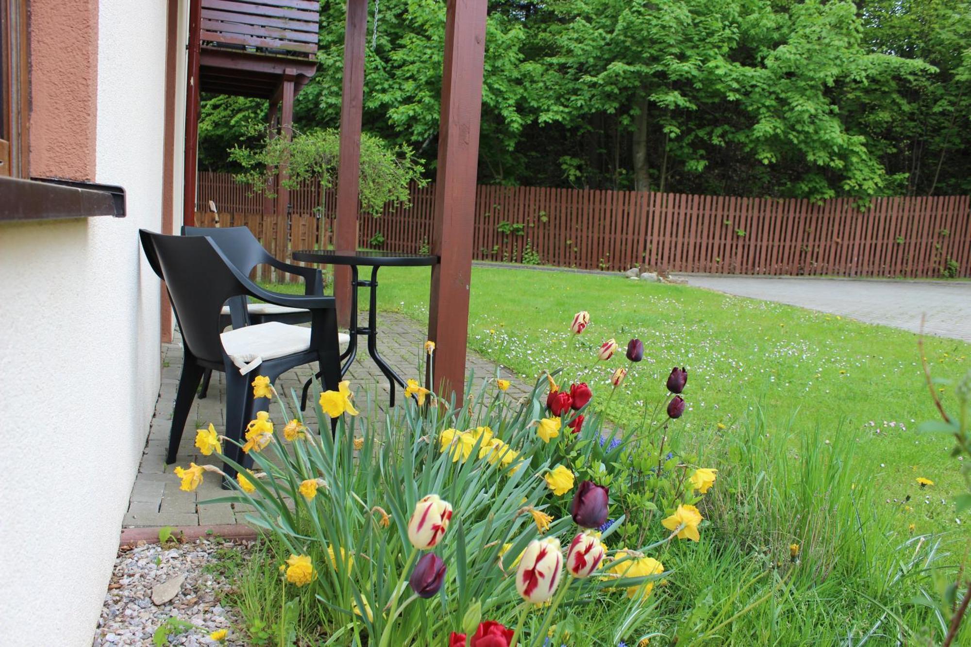 Apartament Kolorowy Pod Sniezka Карпач Екстер'єр фото